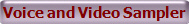 Voice and Video Sampler